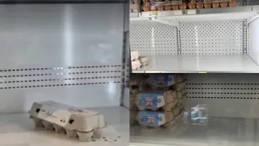 Criză de ouă în România! De ce nu se mai găsesc la raft: Presiunea din afară este din ce în ce mai mare