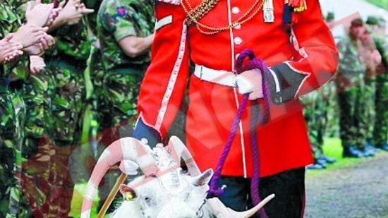 Tapul reginei s-a pensionat