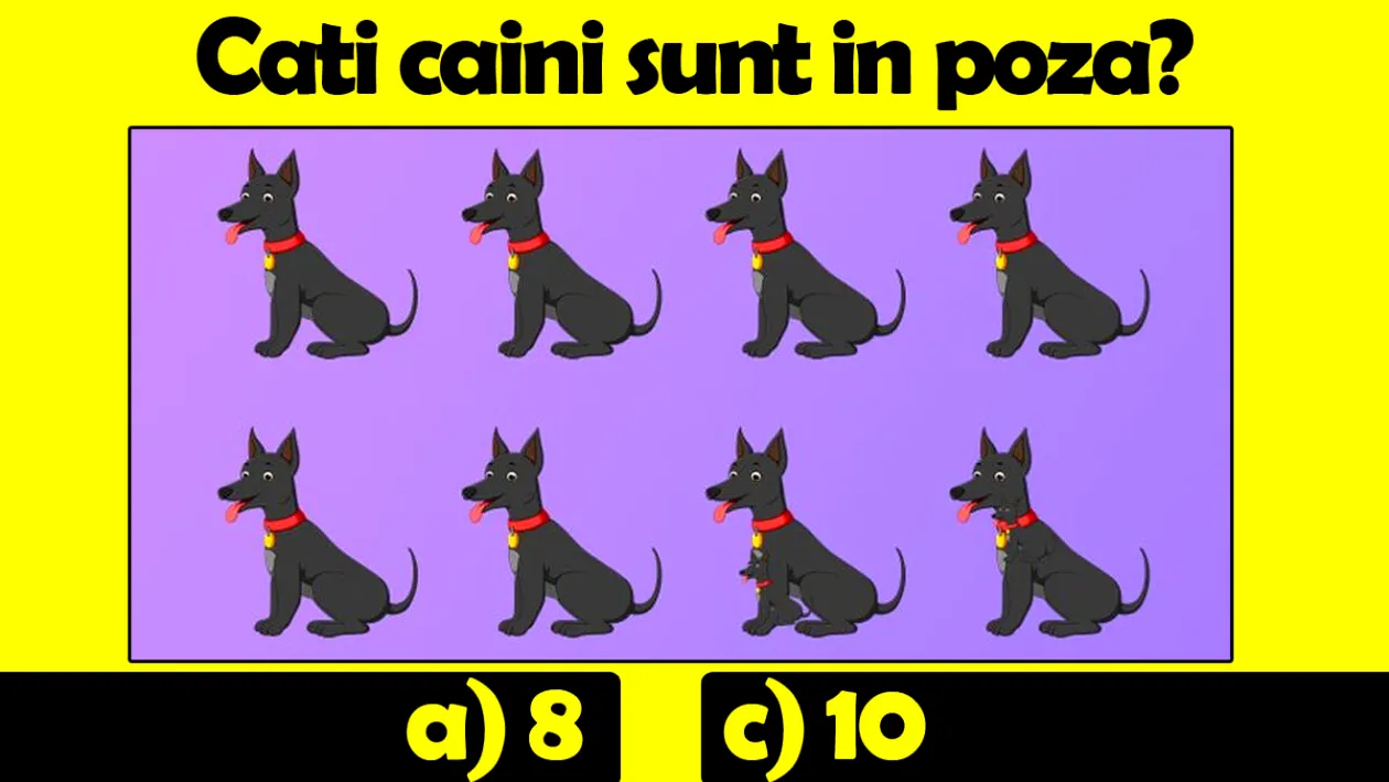 Testul IQ la care 8 din 10 greșesc | Câți câini sunt în această poză: 8, 9, 10 sau 11?