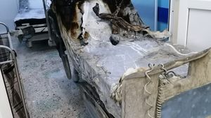 Primii martori în Dosarul Piatra Neamț, audiați la peste patru luni de la producerea incendiului din secția ATI a Spitalului Piatra Neamț