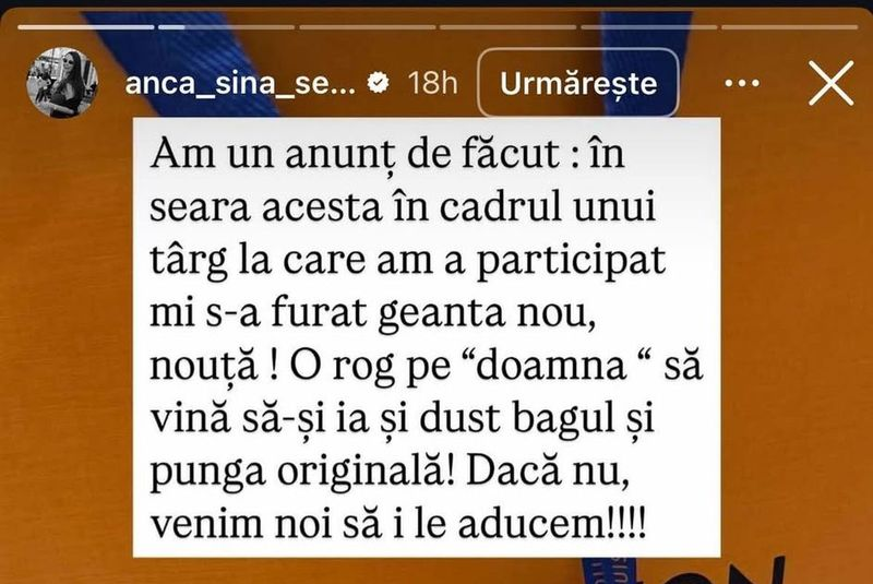 Anca Serea a fost jefuită. Sursa foto: Instagram