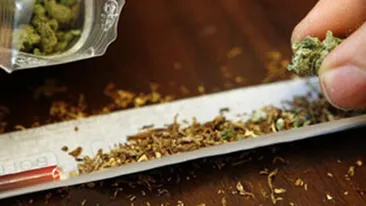 Alo, aici Dumnezeu! Cultiv canabis! Asa s-a denuntat un dealer de droguri!