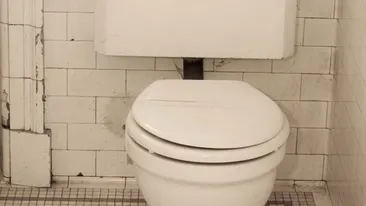 FARSA care a bagat-o in spital! Ce-a patit o femeie dupa ce s-a asezat pe acest WC! Medicii s-au ingrozit cand au vazut-o asa!