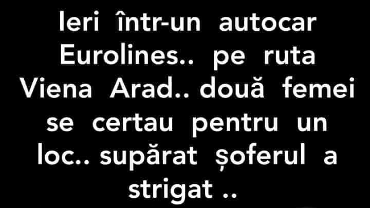 BANC | Ieri, într-un autocar pe ruta Viena - Arad, două femei se certau pe un loc
