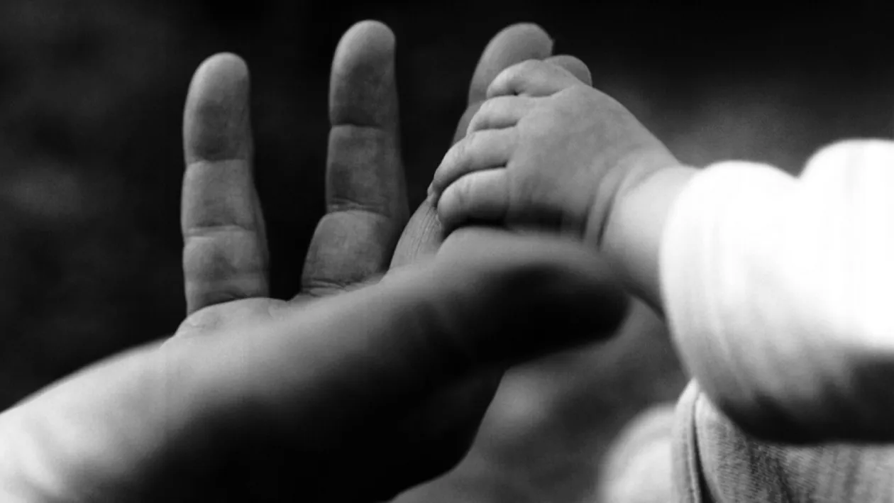 Vedete care au fost adoptate. Nici prin cap nu îţi trece cine este pe listă