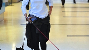 Elisabetta Canalis, fosta iubita a lui George Clooney, alergata de catei pe aeroport. Afla aici din ce cauza!