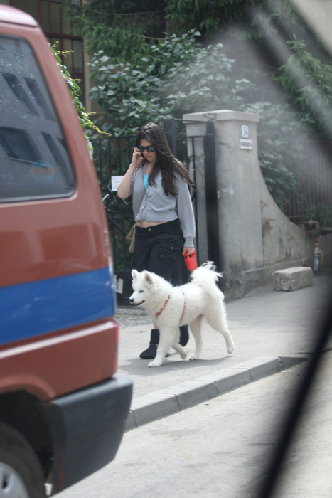 Paula Seling a rămas la ea acasă cu un singur exemplar canin, doar cu Luna / Sursă foto: CANCAN.RO