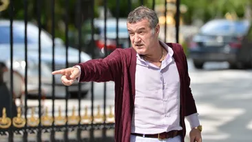 Fabrica de armament a lui Gigi Becali, scoasa la licitatie! Patronul Stelei a fost executat silit pentru o datorie 300.000 de euro