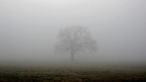 METEO 24 decembrie. Cum va fi vremea in ajun de Craciun!