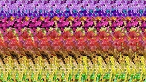 TEST IQ | Doar "geniile 3D" pot descifra misterul: Ce animal se ascunde în fotografia asta?