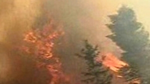 Doi morti, zeci de raniti si sute de oameni evacuati in urma incendiilor de vegetatie din Rusia