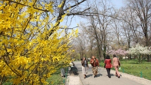 ANM a schimbat radical prognoza: Când vine, de fapt, primăvara în toată România