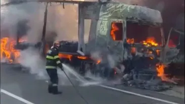 A luat foc pădurea din Giurgiu! Totul a pornit de la un camion VIDEO