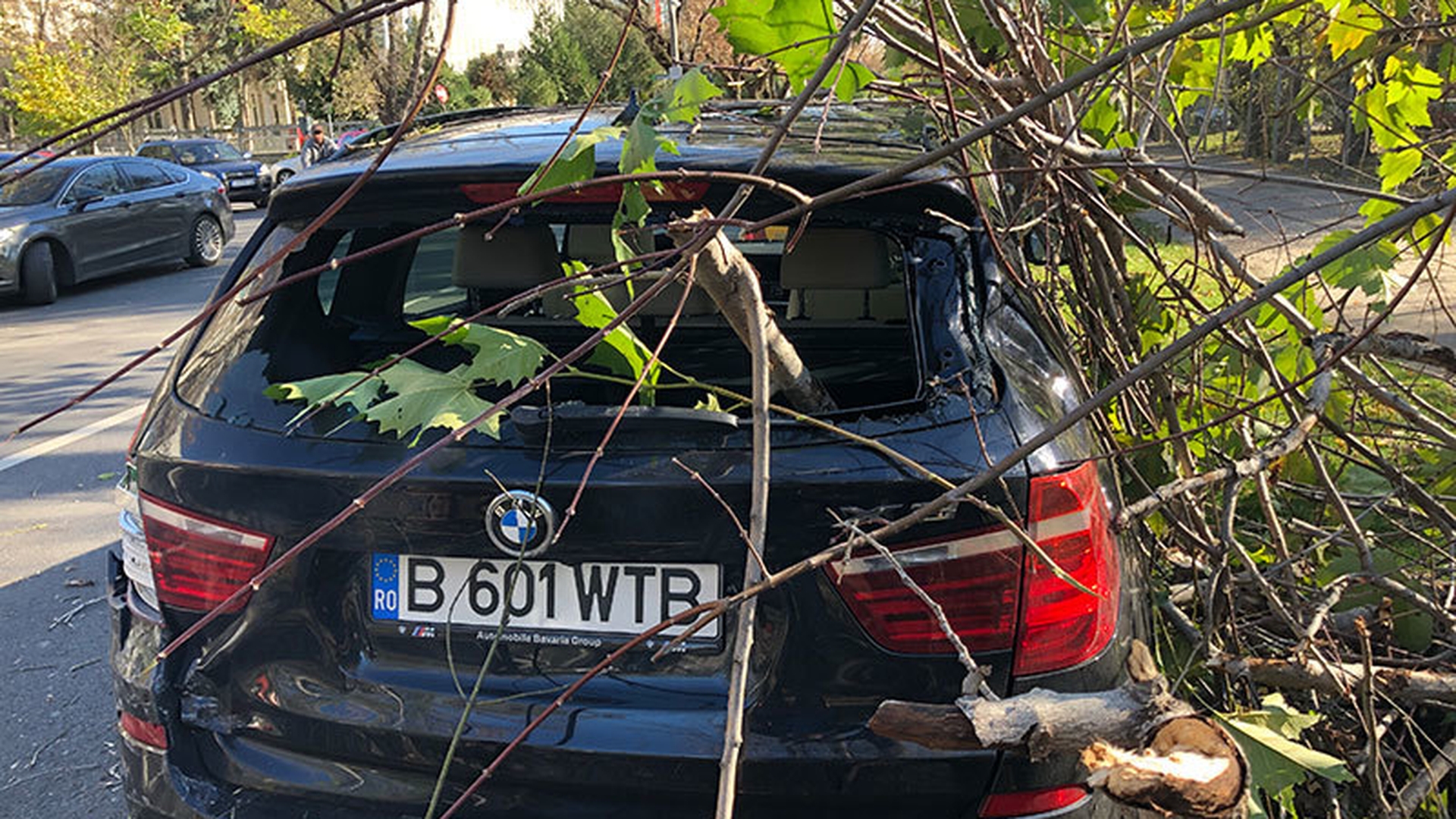 Vântul puternic a doborât un arbore din Capitală. Pomul a căzut fix pe o...