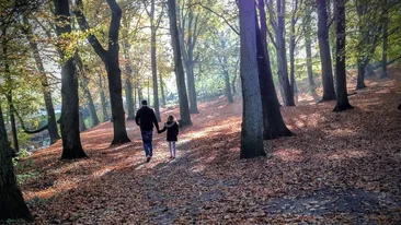 Bărbatul de 45 de ani din Slatina, acuzat că a agresat o fetiță de 12 ani, a fost reținut!