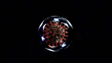 213 români și-au pierdut viața, în ultimele 24 de ore, din cauza noului coronavirus