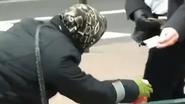 Si America are milogii ei! Ziua cerseste pe cele mai celebre bulevarde din lume, noaptea se distreaza ca un VIP!