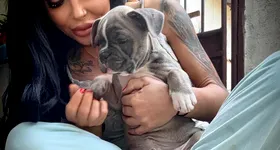 Galerie foto - poza 4