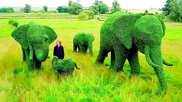 Ce sculpturi face din iarba!