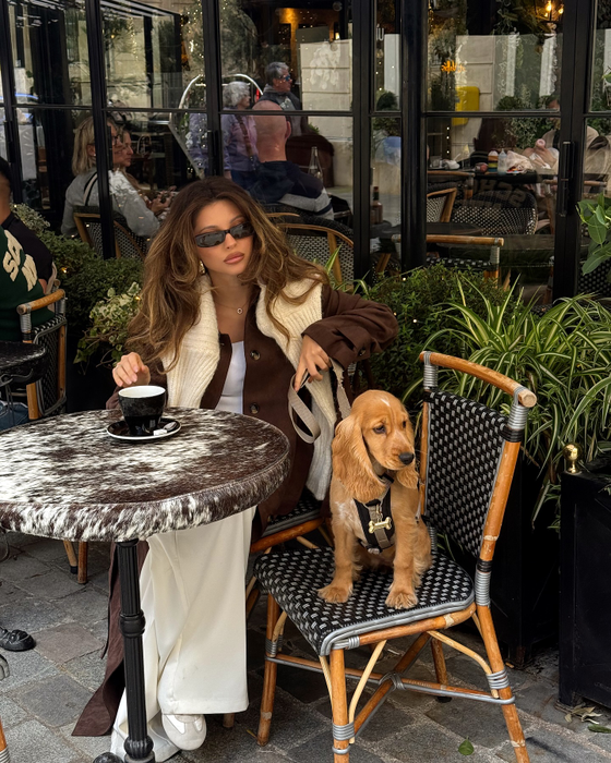 Au un nou membru în familie: un cocker pe care l-au numit Daisy