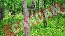 S-a spanzurat pentru ca divortau parintii
