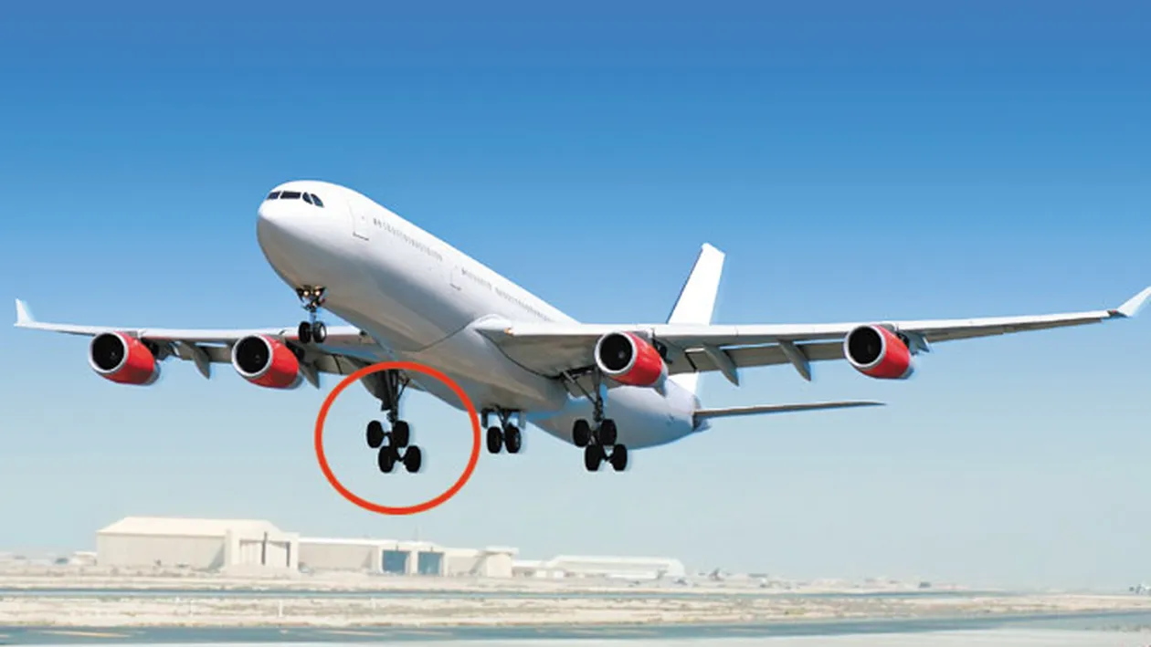 Aici a facut blatul un roman