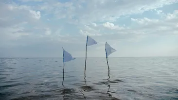 Știți semnificația steagurilor arborate de salvamari? Iată când poți și când nu poți intra în apă