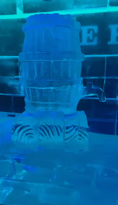 Check in | Experiența la un club tematic din Praga. Petrecere la -10°C și roboți care mi-au preparat o băutură