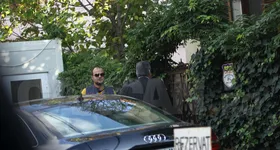 Galerie foto - poza 3