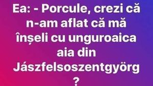 BANC | "Porcule, crezi că n-am aflat că mă înșeli cu unguroaica aia din Jaszfelsoszentgyorg?"