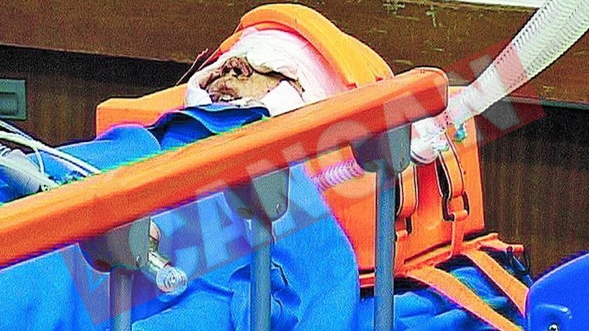 Copil sfasiat de cainele vecinilor