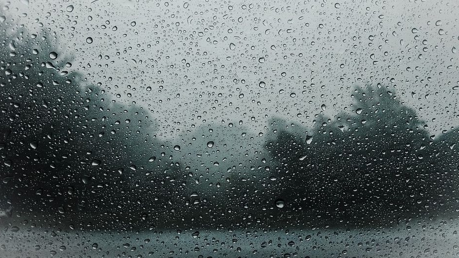 Prognoza meteo pentru Bucureşti. ANM: Intensificări ale vântului şi ploi temporare
