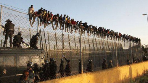 ULTIMA ORA! Roman arestat in Austria, pentru ca transporta 24 de imigranti intr-o camionetă