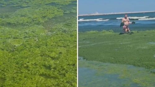 Stațiunea de la Marea Neagră care a șocat turiștii: „Credeam că e ciorbă de urzici”