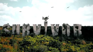 Răsturnare de situaţie la Survivor România! Elena Chiriac, marea câştigătoare de la Pro TV? Cine a făcut anunţul