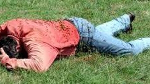 ŞOCANT! Un ieşean a fost asaltat de 100 de albine! A avut cel puţin 60 de înţepături, lăsându-l aproape mort