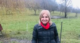 Galerie foto - poza 2