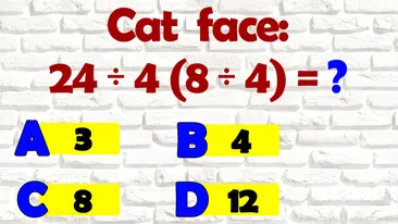 Test IQ pentru matematicieni | Calculați 24:4(8:4)