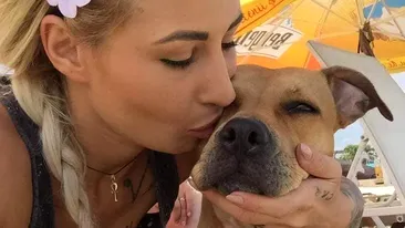 Familia Andreei, tânăra care a murit într-un accident rutier săptămâna trecută, apel disperat pe Facebook. Câinele victimei a dispărut de la locul accidentului: „Pentru liniștea sufletului ei, vom continua să o căutăm!”