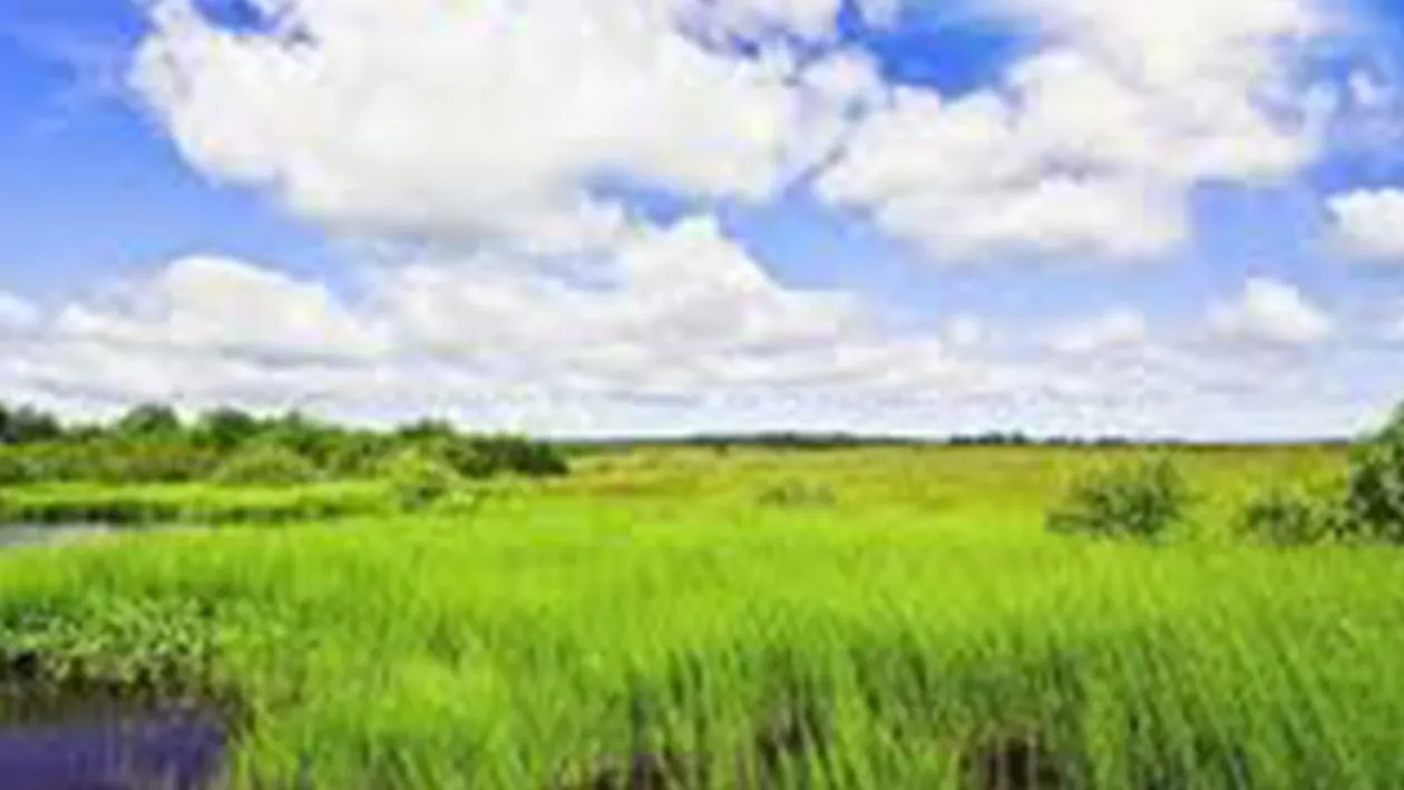 Se schimbă vremea! Anunţul făcut de meteorologi