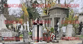 Galerie foto - poza 1