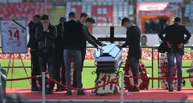 Galerie foto - poza 3