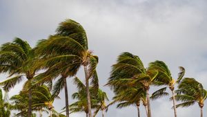 Jamaica, amenințată de uraganul Melissa. Este cea mai puternică furtună din anul 2025