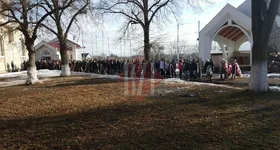 Galerie foto - poza 4