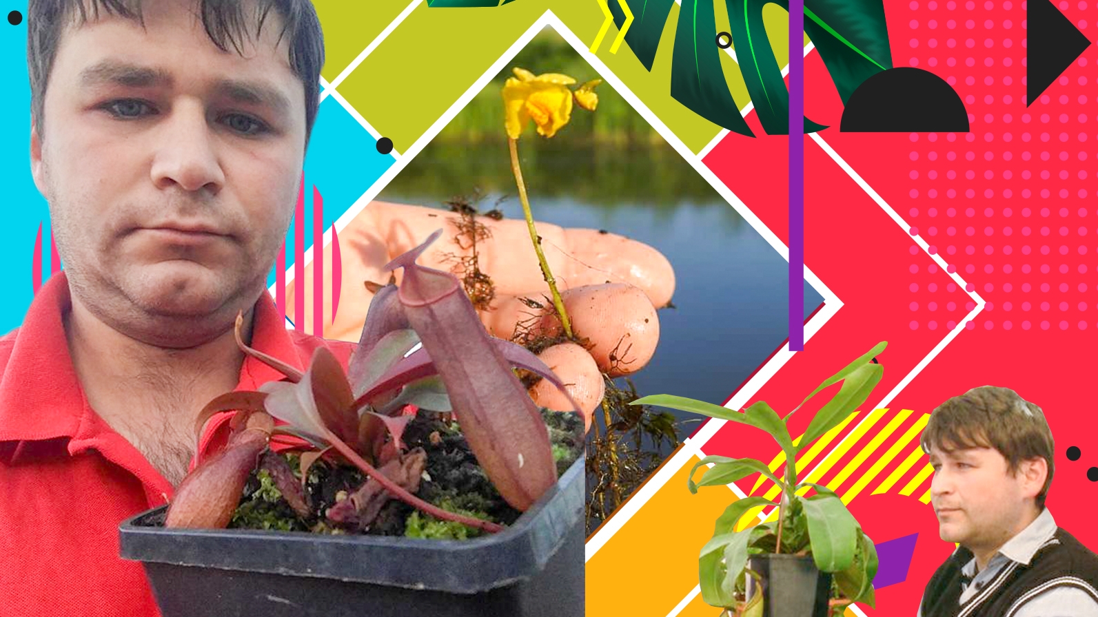 Adrian Danciu a descoperit o plantă carnivoră pe un canal din Satu Mare!