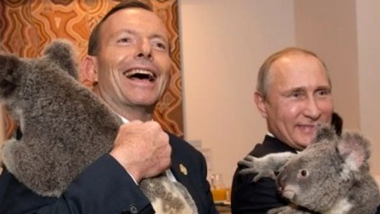 Guvernul Australiei, acuzat că investeşte prea mult în urşii koala!