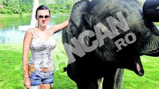Un elefant i-a "urat" prosperitate si belsug