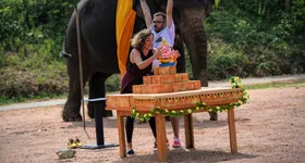 Galerie foto - poza 1