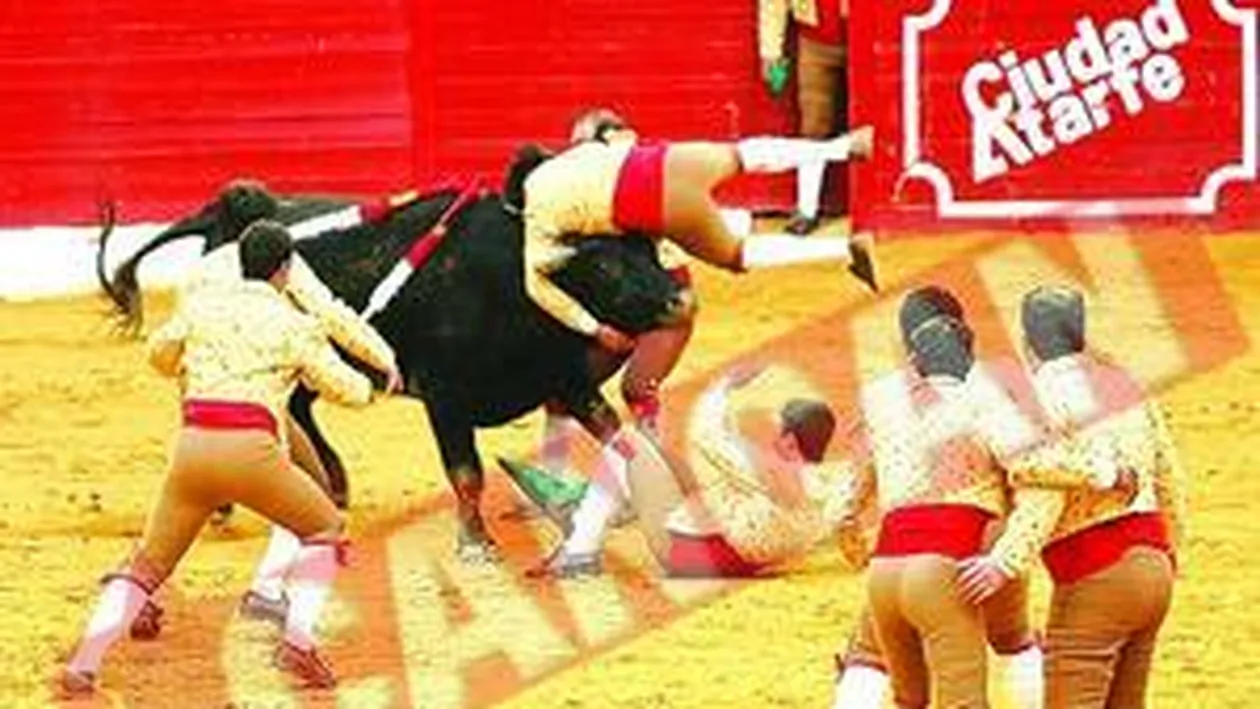 Caixinha era cel mai bun la omorat tauri!