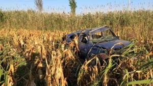 Descoperire șocantă, într-un lan de porumb din Vrancea. Un agricultor a găsit doi tineri morți, într-un autoturism